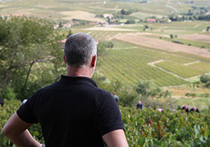 jeff-carrell-viticulteur